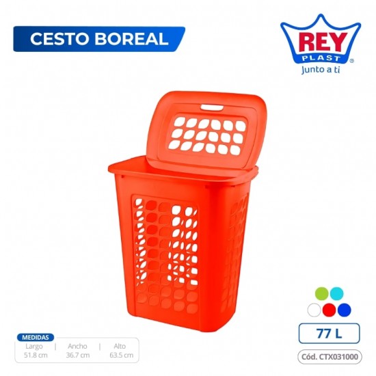 CESTO BOREAL REY